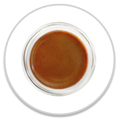 Caffè Espresso Estratto Correttamente Caffè Espresso Estratto Correttamente